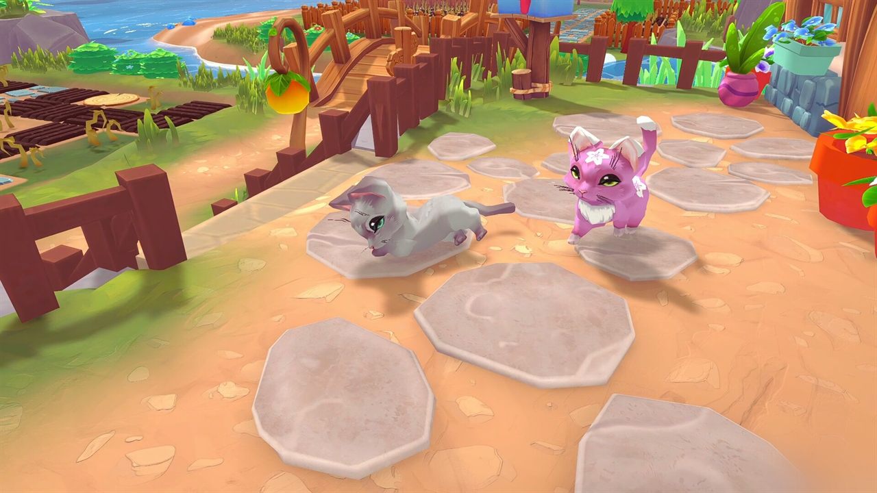 A grey cat and a pink cat playing on stepping stones near the farm fields